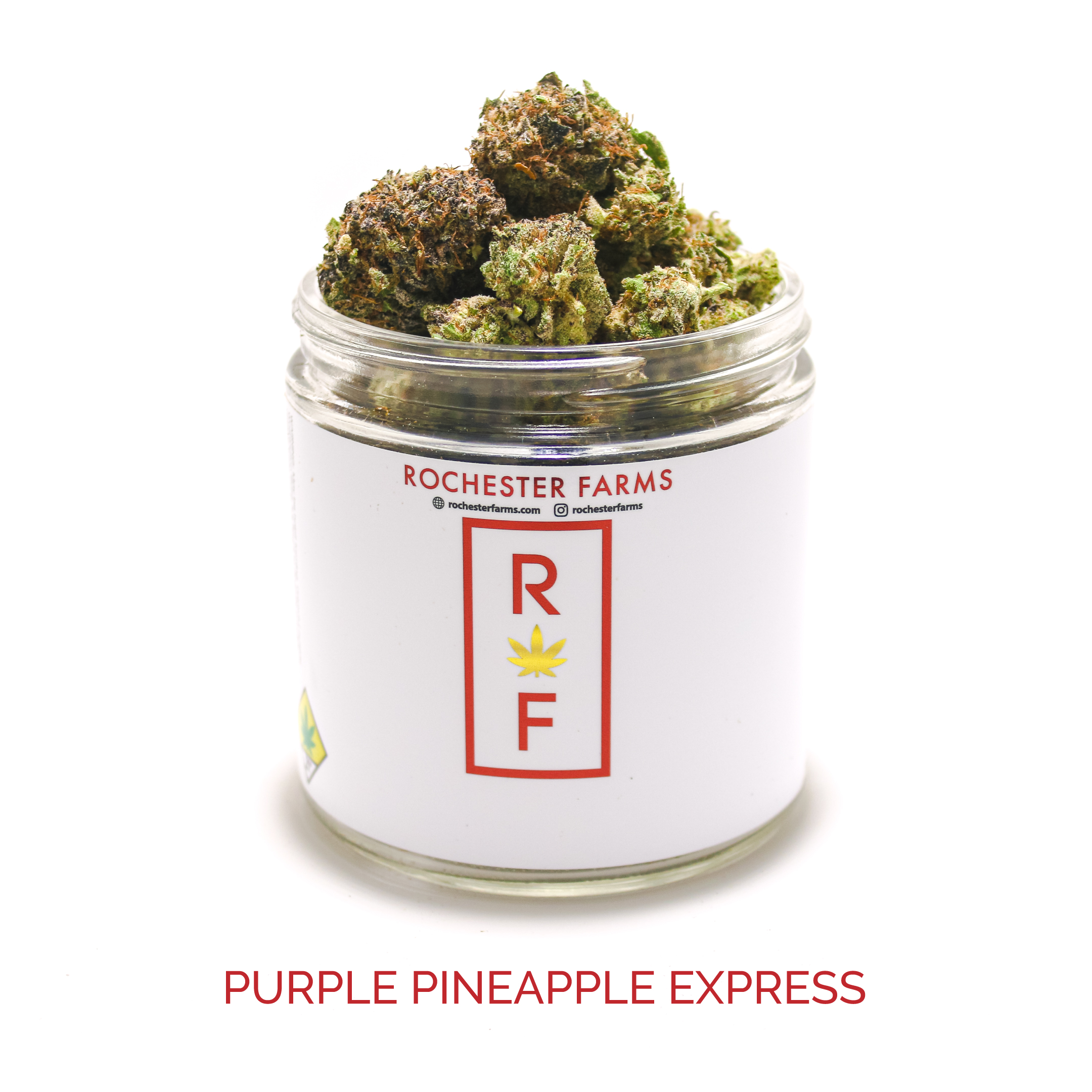 Purple Pineapple Express