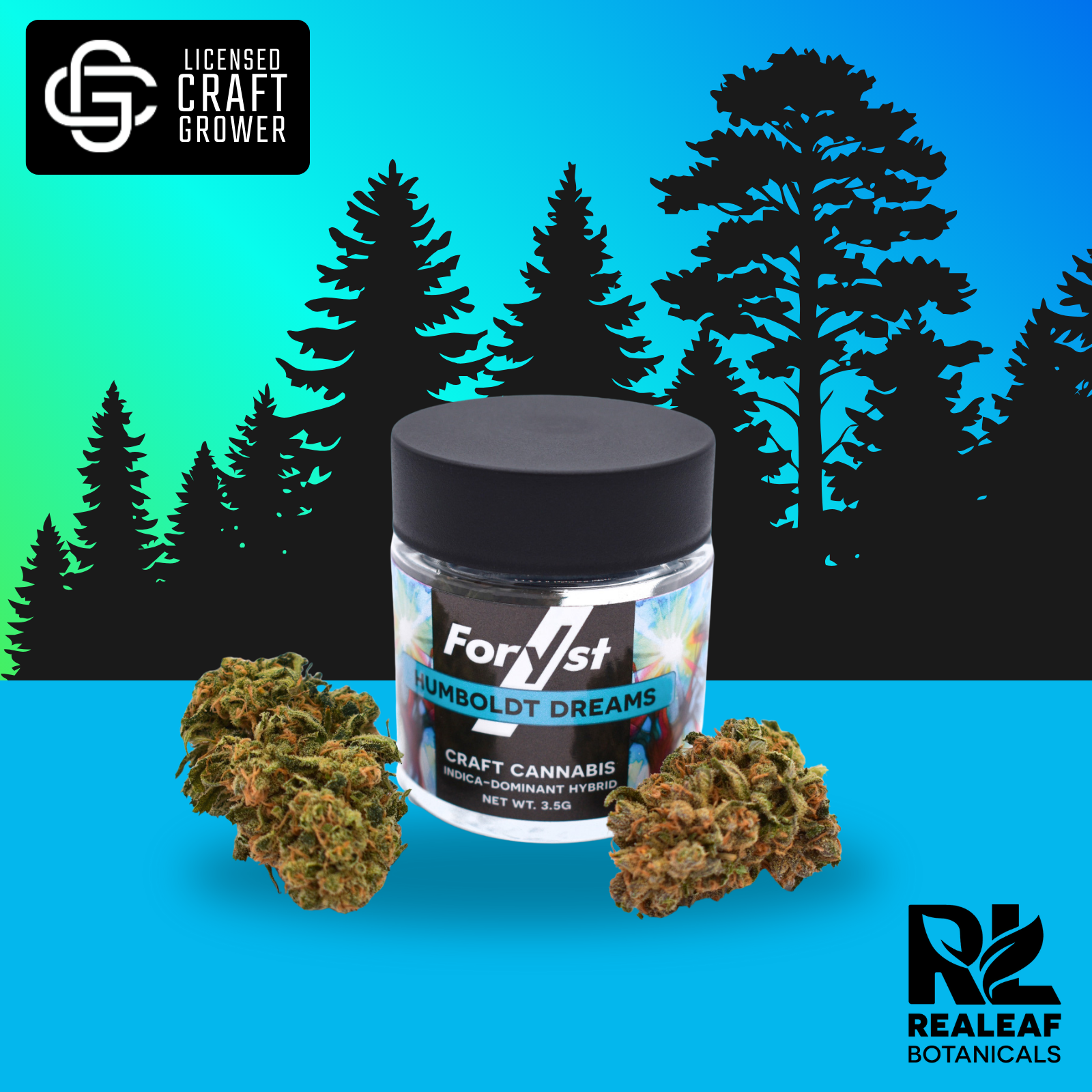 Humboldt Dreams Foryst Flower