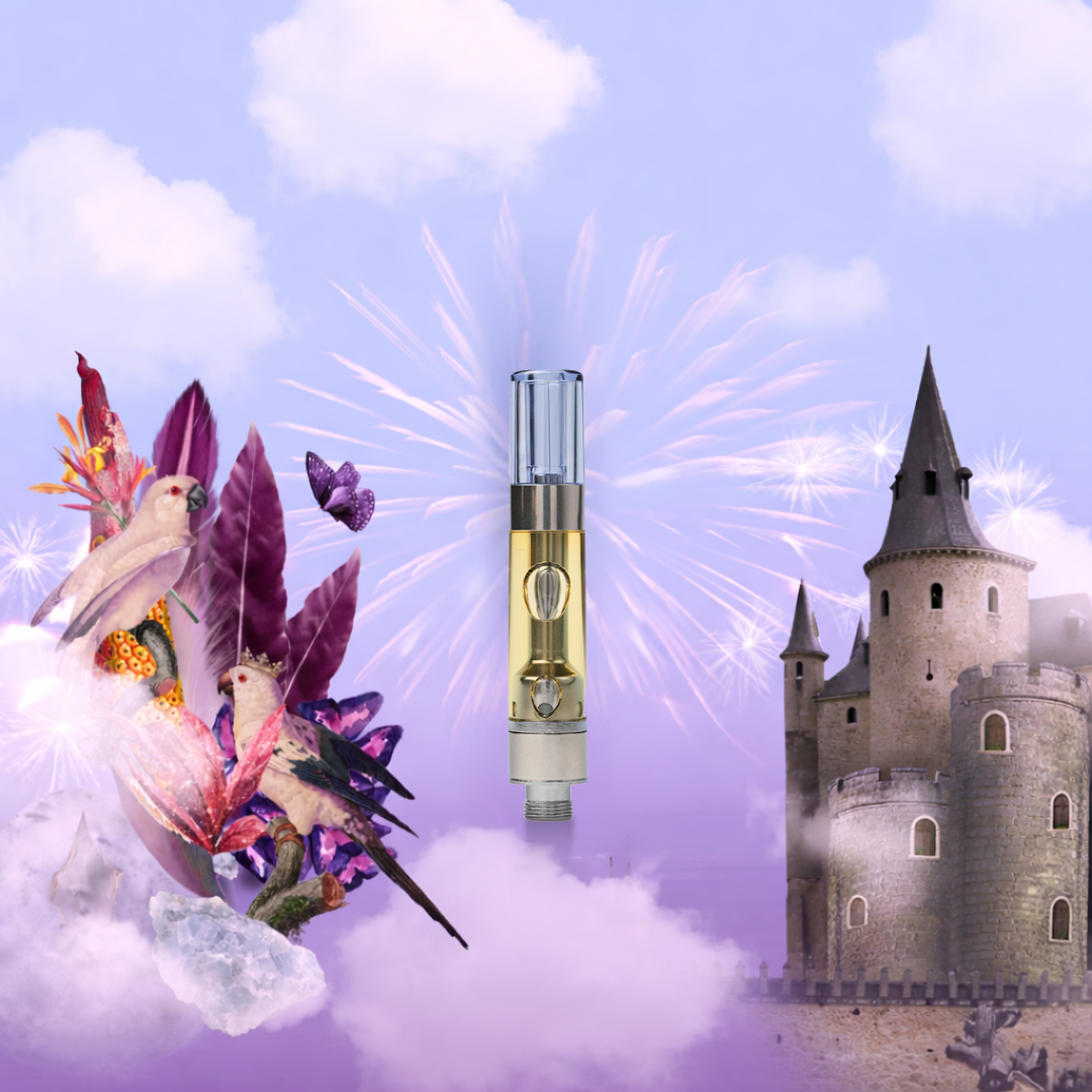Kingdom Dreams [1g]