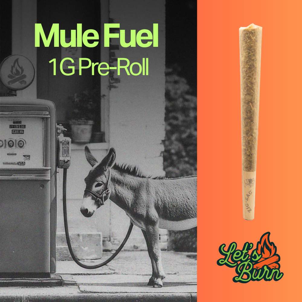 Let's Burn - Mule Fuel (H) 1g Pre-Roll 1pk (1g) C0200000026 *NP