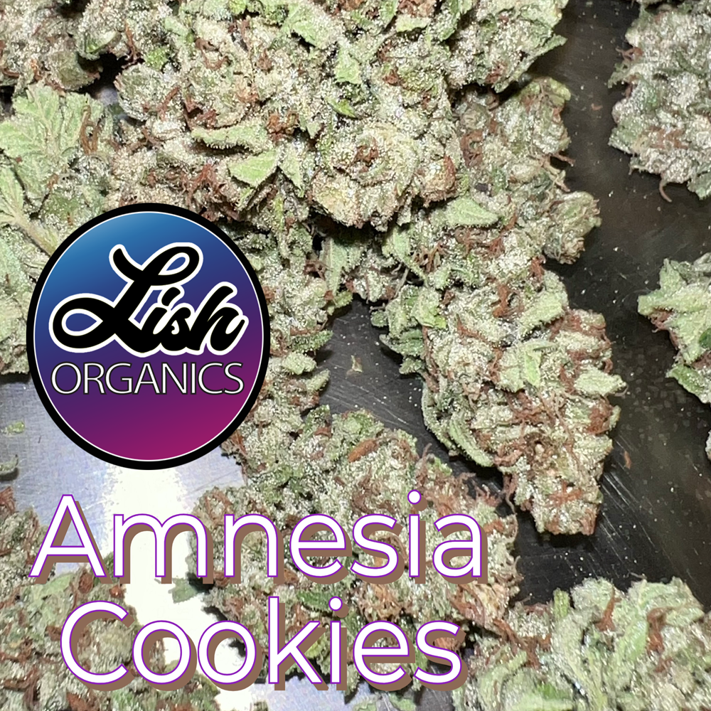 Shop Amnesia Cookies | The Bakeree - Belltown Dispensary Seattle, WA