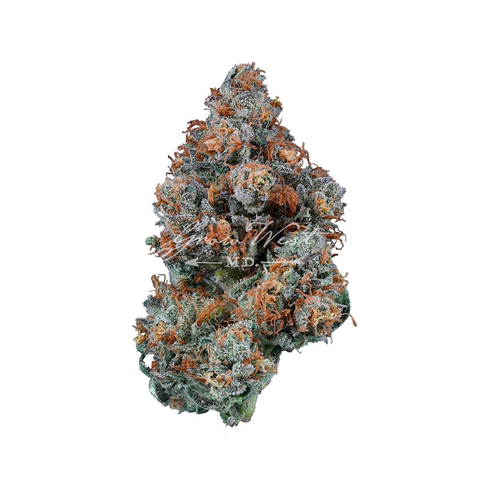 ナ*ン様 WTAPS BUDS L/S better than yesterda ナ*ン様 WTAPS