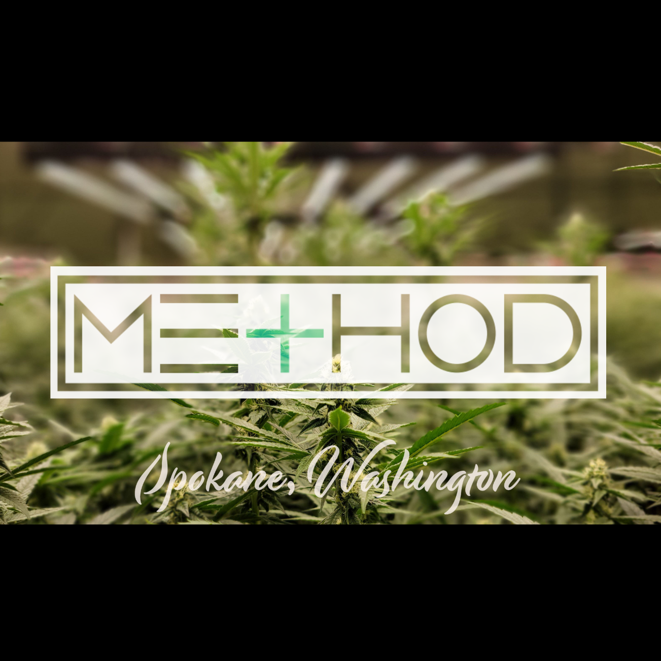 Hybrid