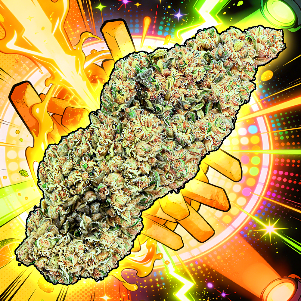 Disco Fries