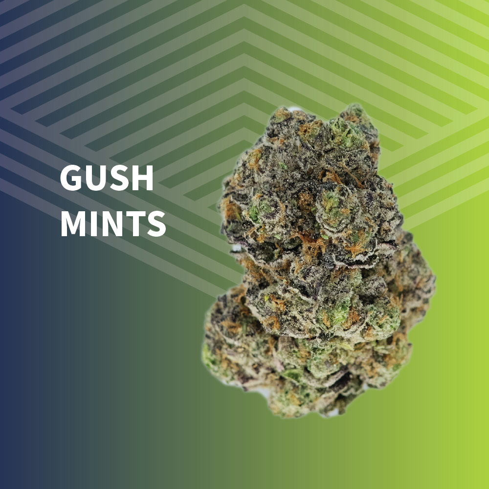 Gush Mints