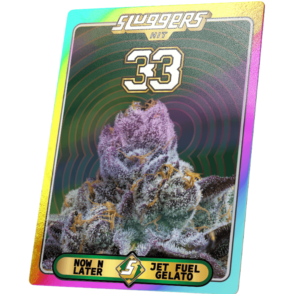 33 [10g]