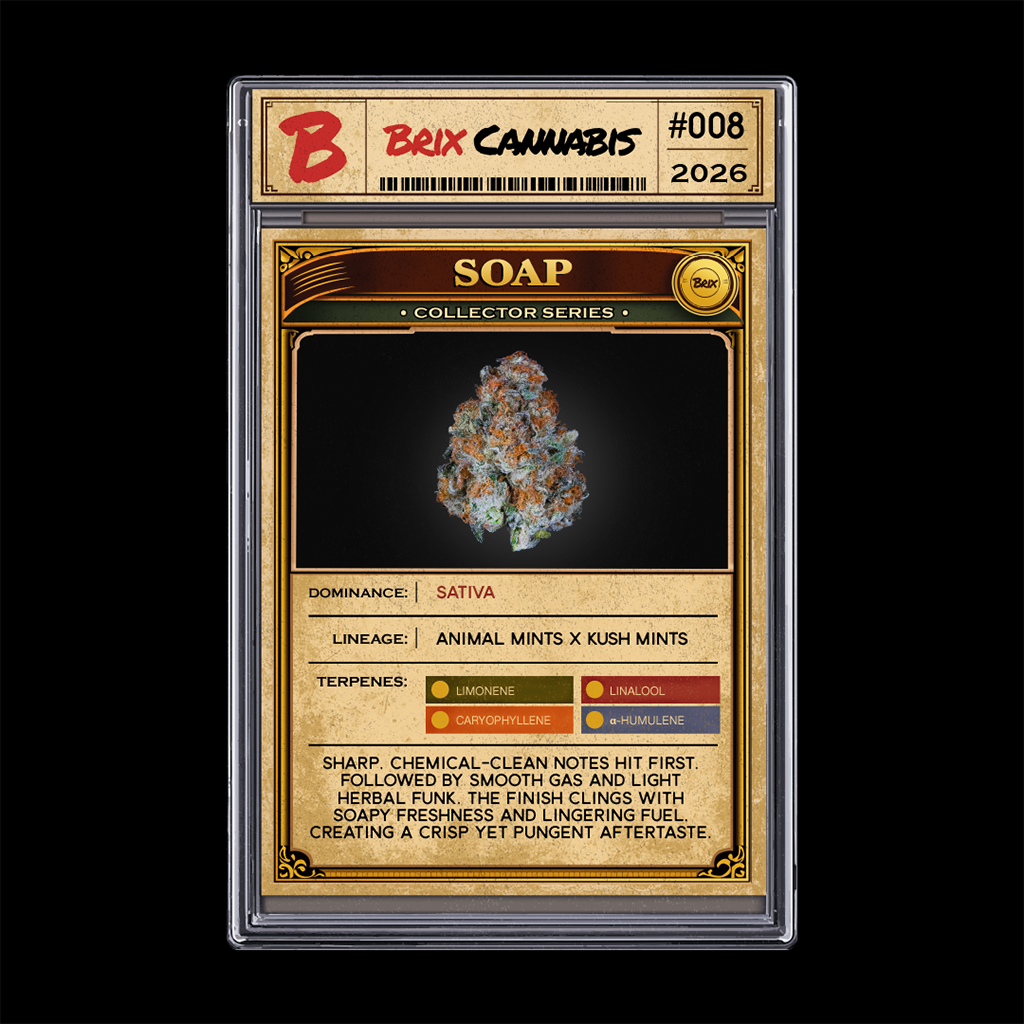 Soap Flower C0101000431