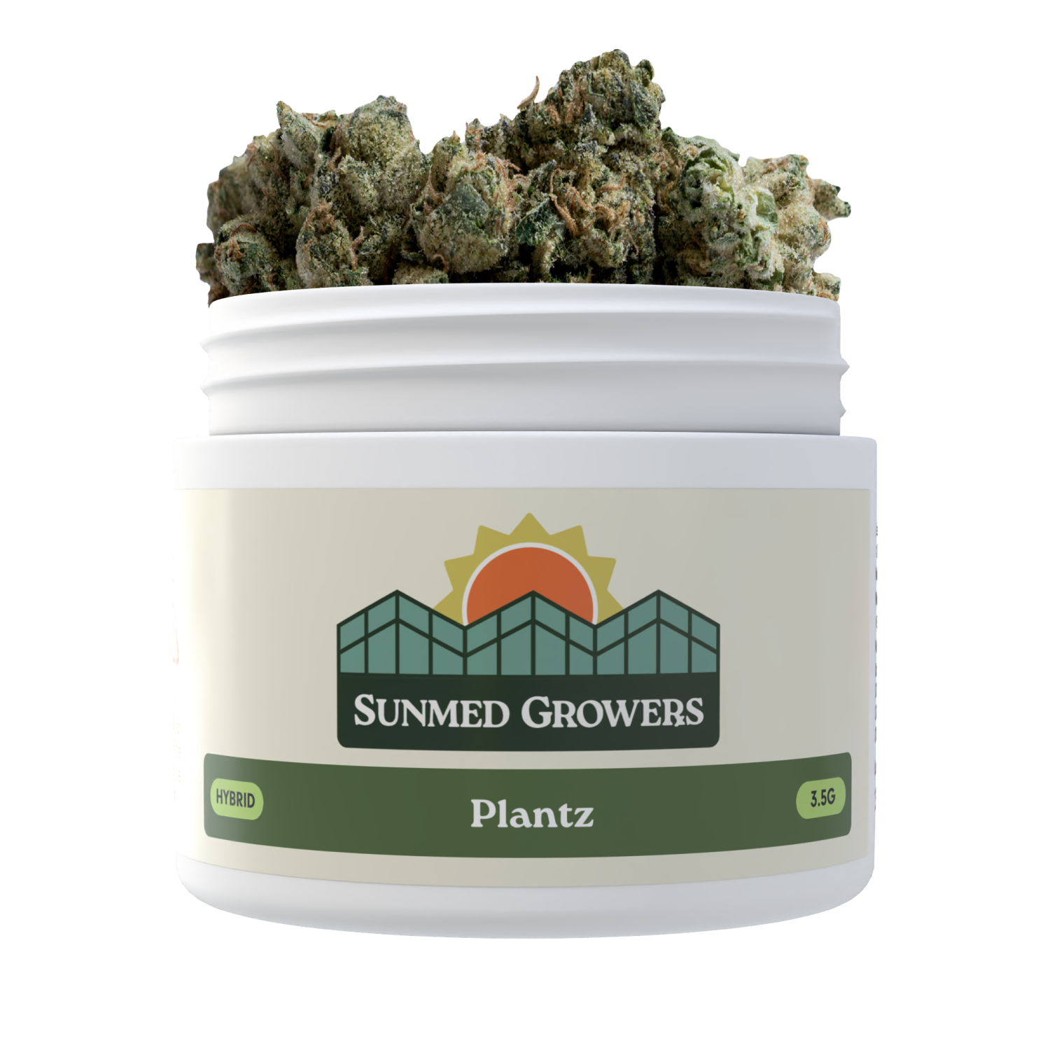 Plantz