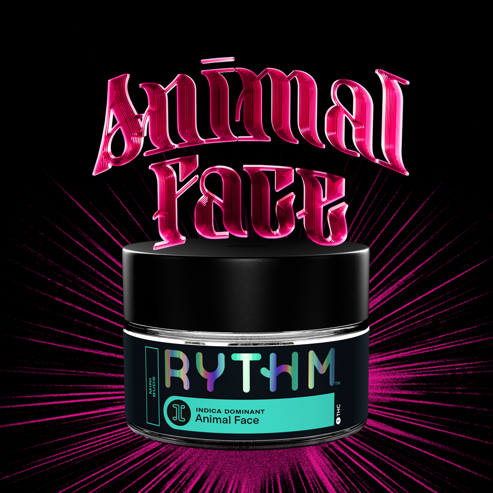 Animal Face Animal Face