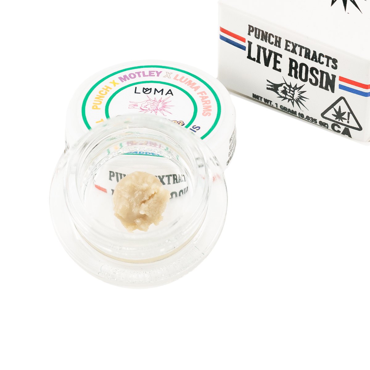 Toronja x Gov Oasis Toronja x Gov Oasis