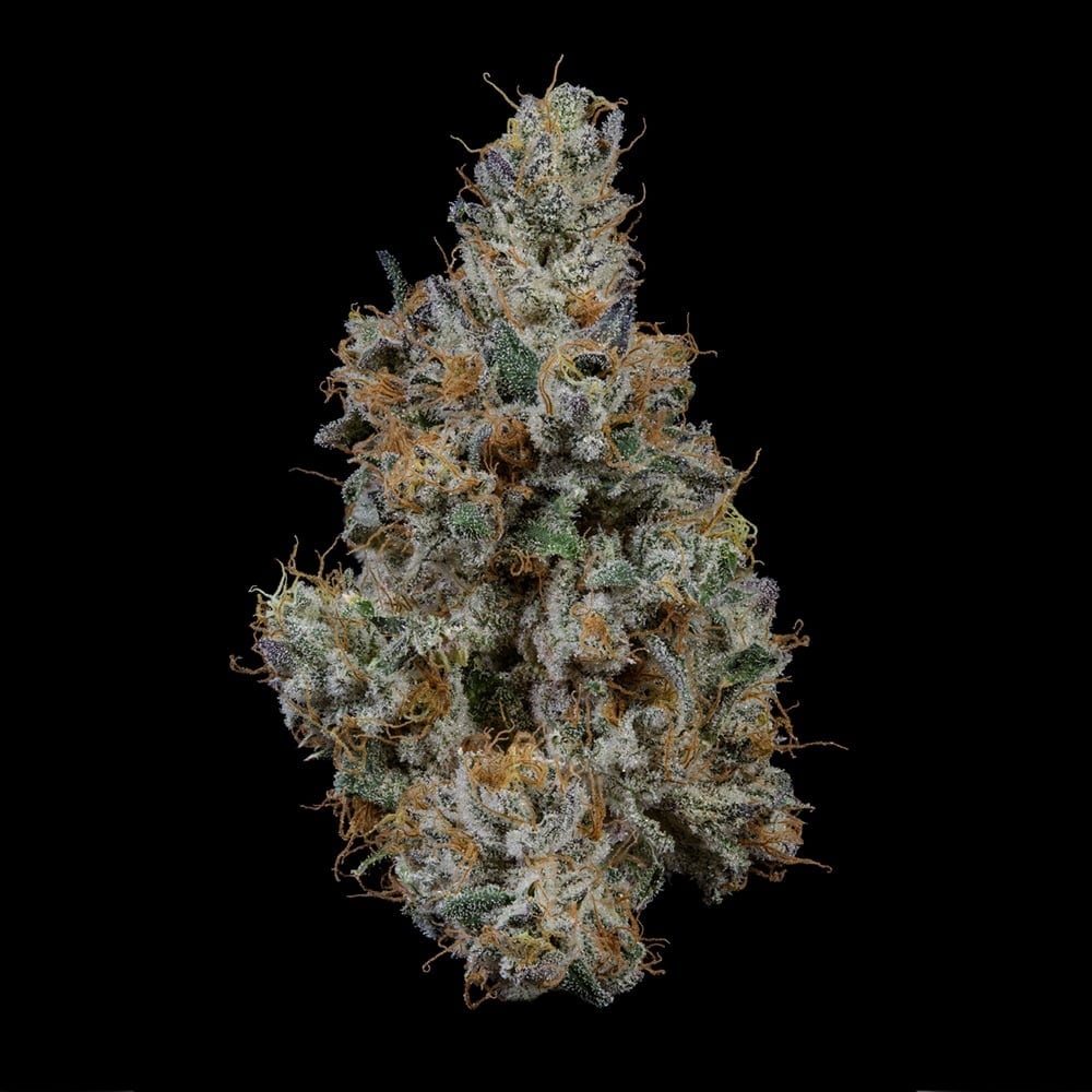 KLUTCH - GRAPE RTZ - [14.15G] - INDICA