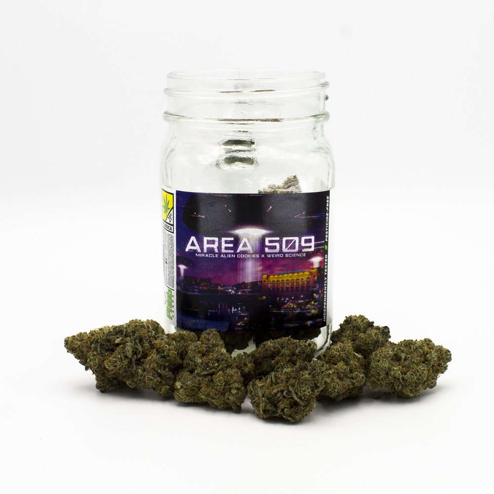 Shop Area 509 | The Link Cannabis Company - Port Angeles