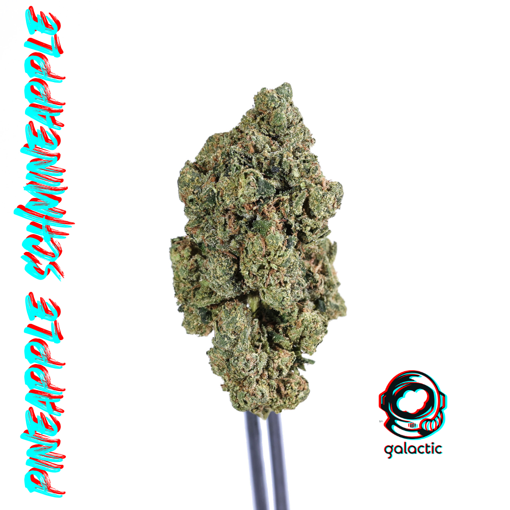 Pineapple Schmineapple