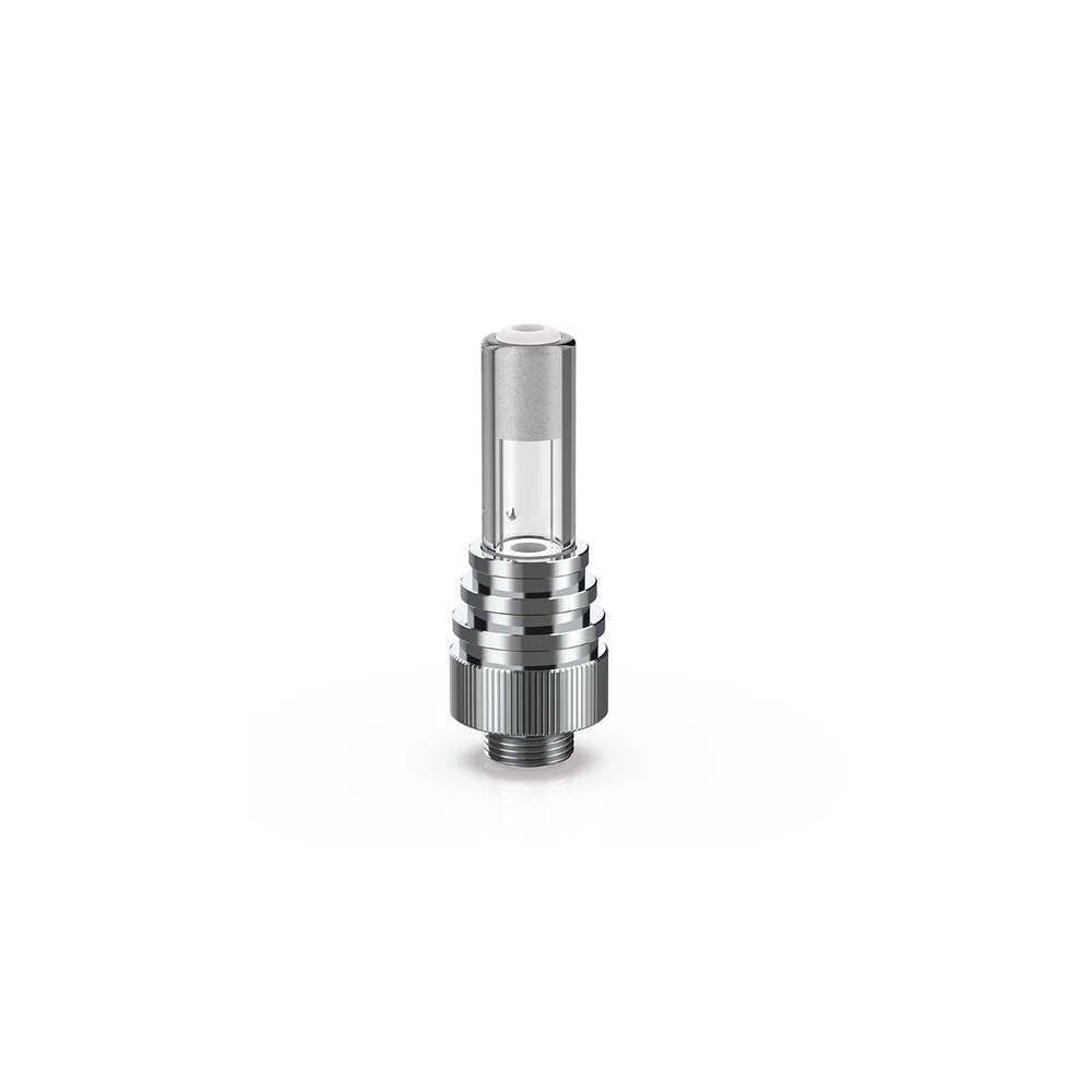 Seahorse Coil V
