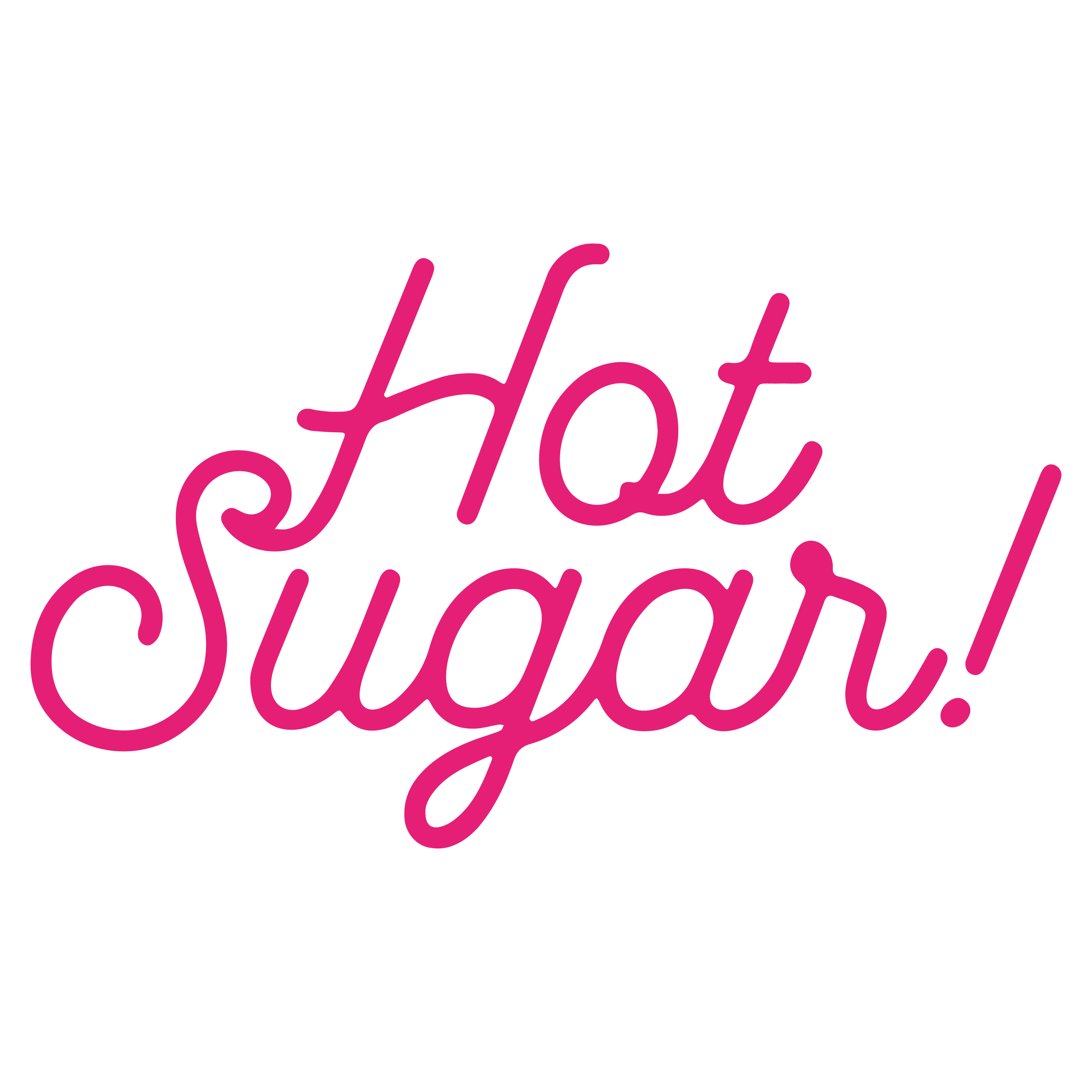 Hot Sugar logo