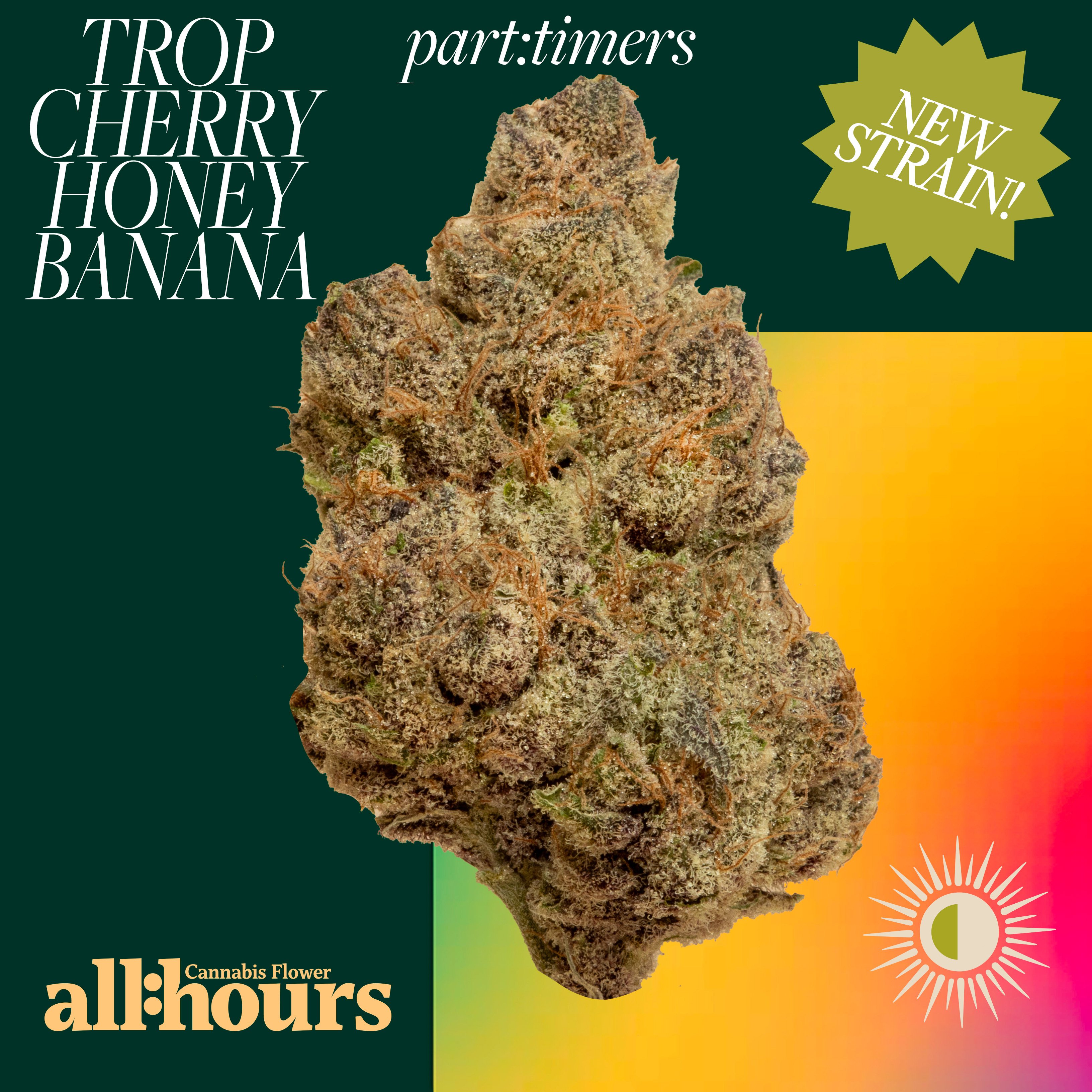 all:hours - Trop Cherry Honey Bananas (H) part:timers Flower  C0040001393