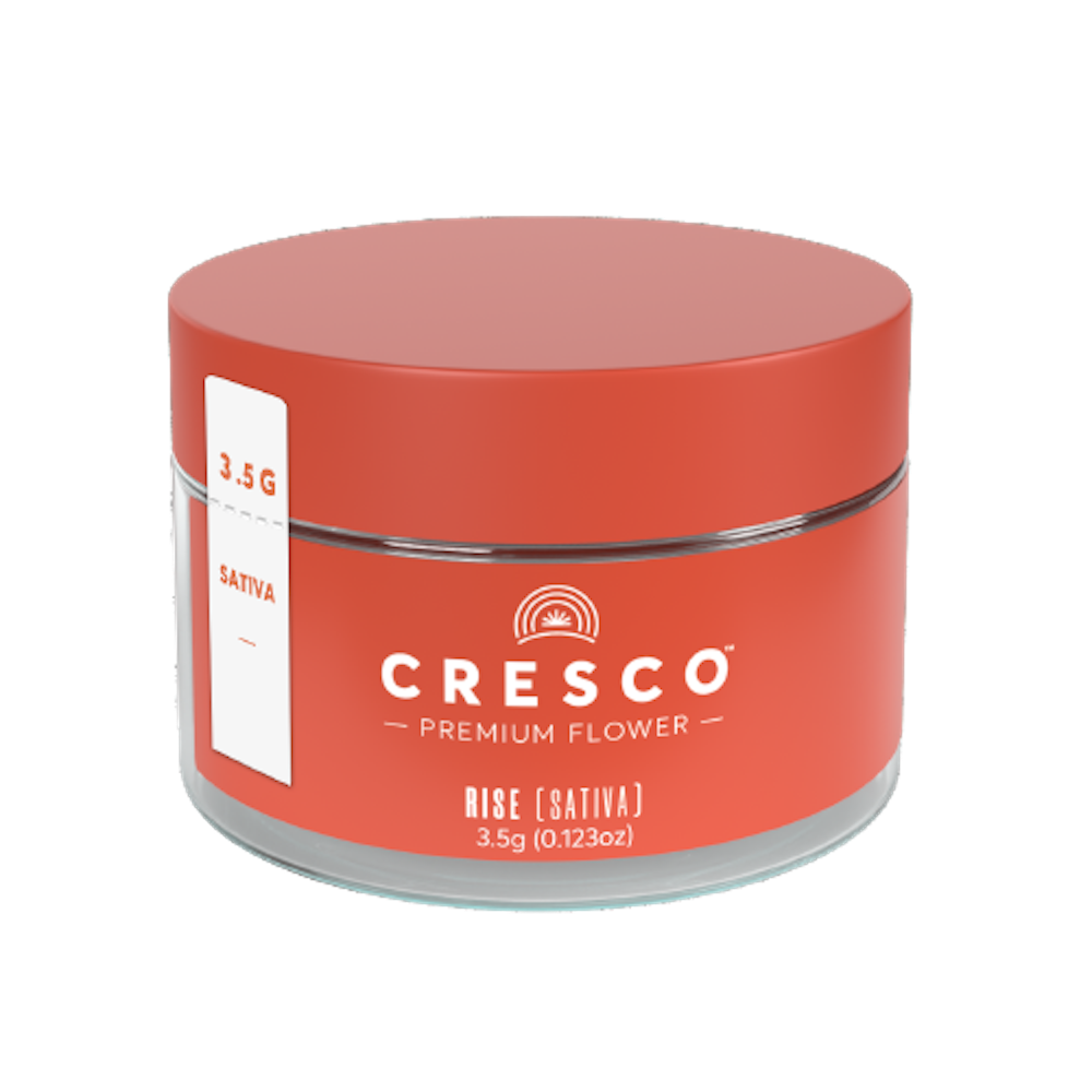 Pineapple Under the Sea