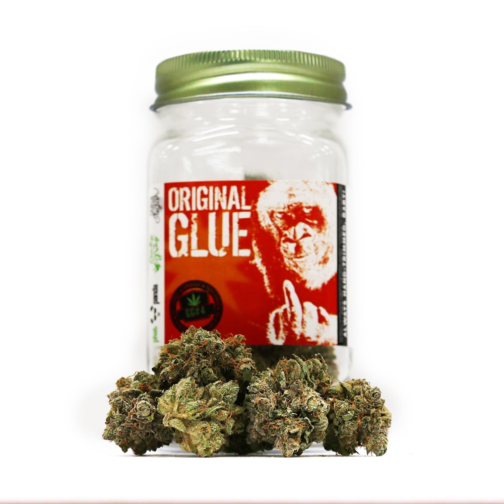 Original Glue (GG#4)
