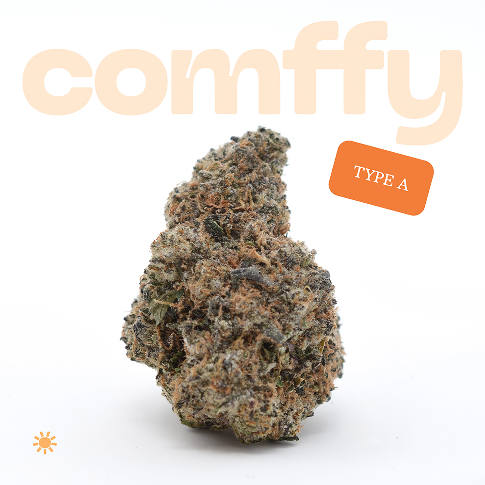 Comffy - Type A (S) Flower  C0140000037