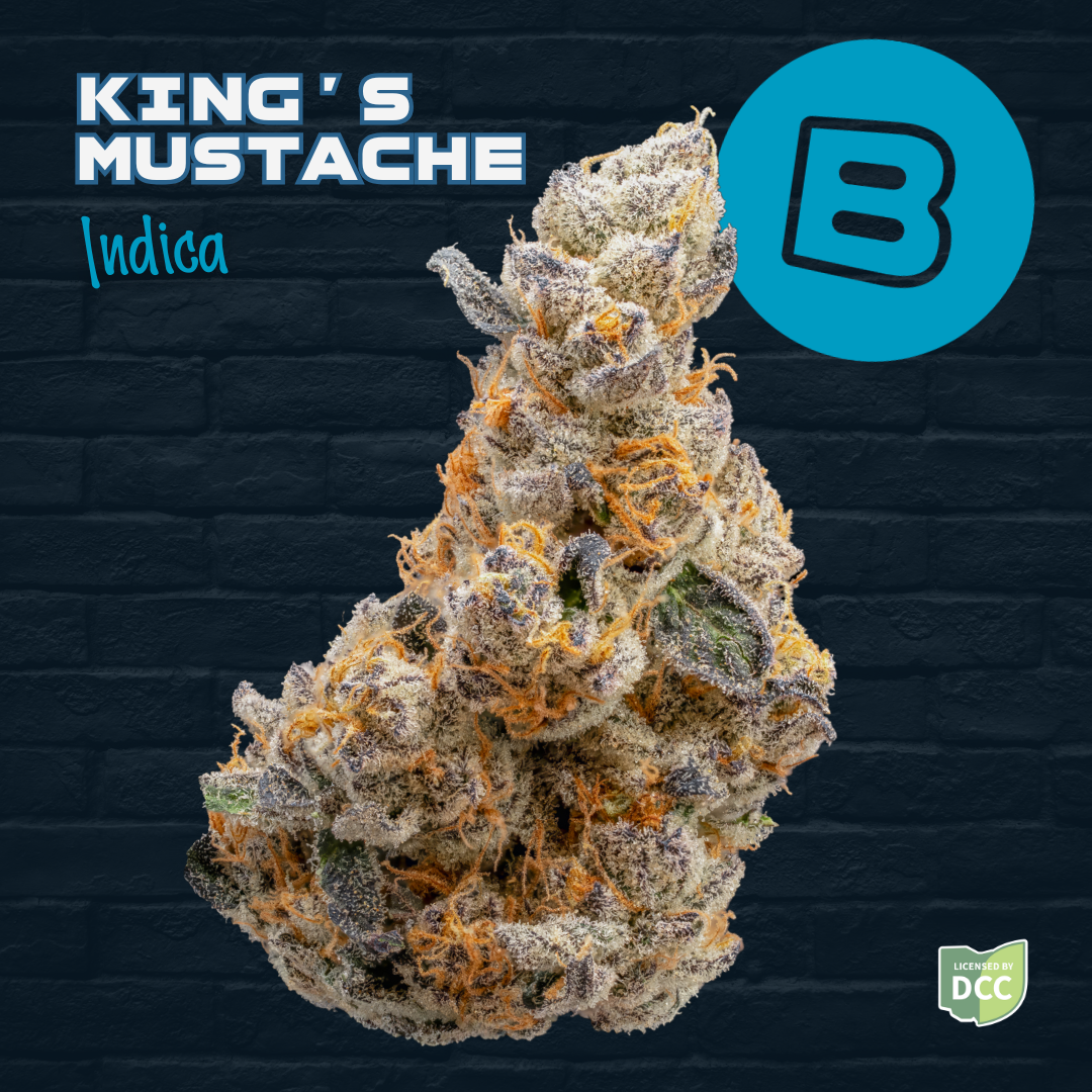 RELIEF - KING'S MUSTACHE  INDICA