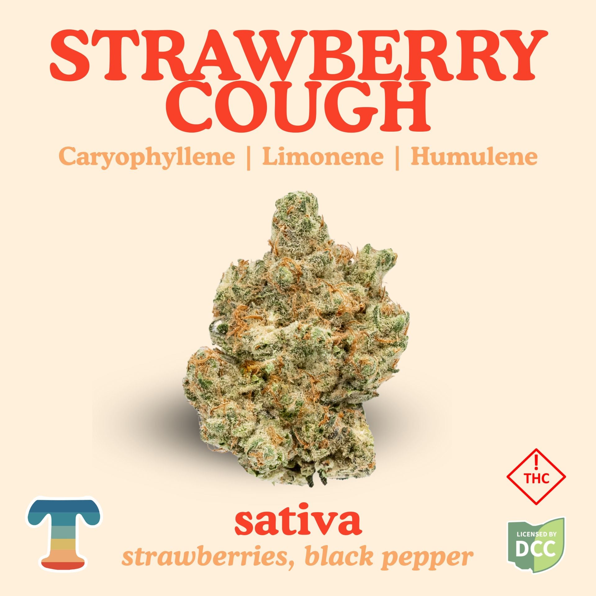 Strawberry Cough - 2.83g Whole Buds - Sativa | Treehaus | Bloom