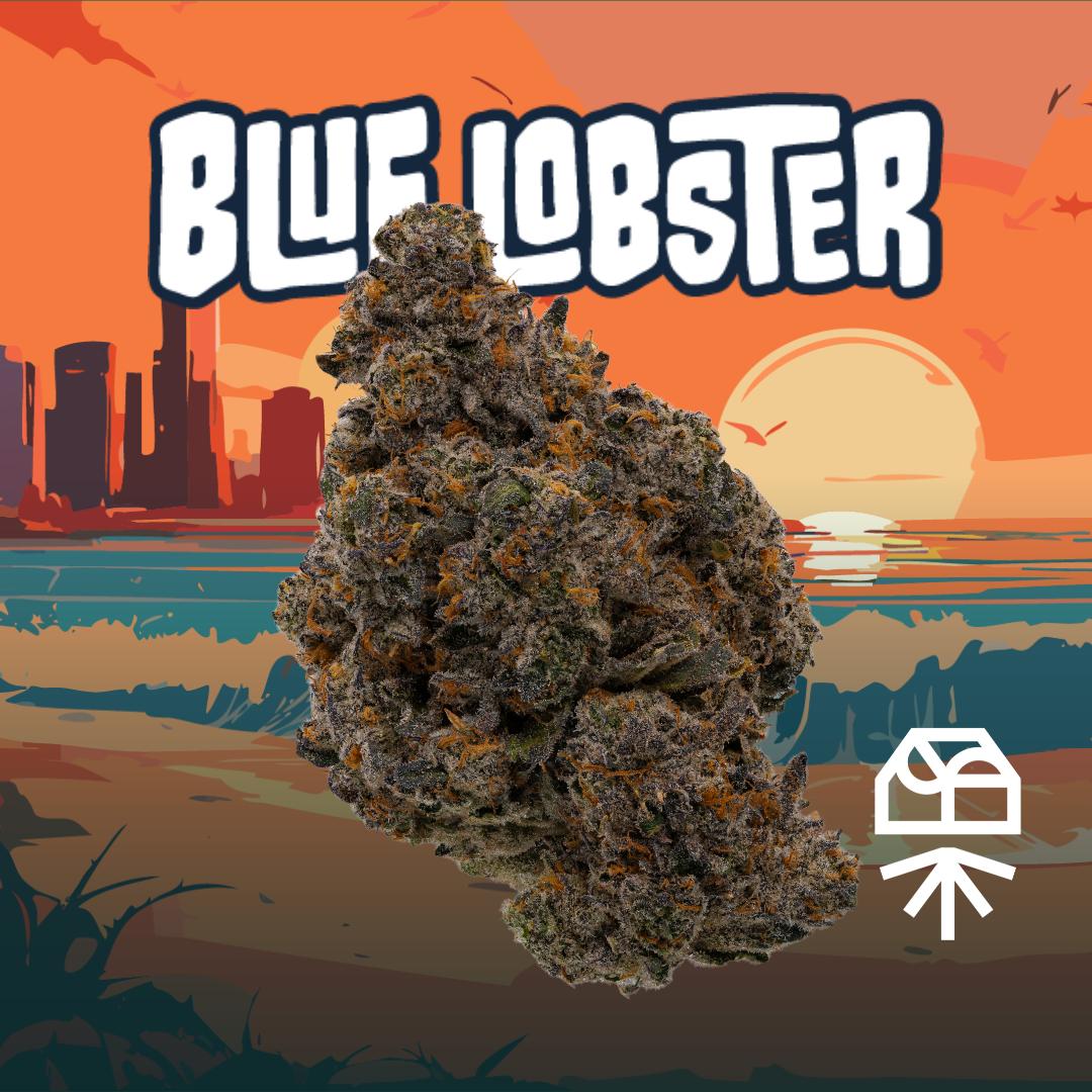 Blue Lobster