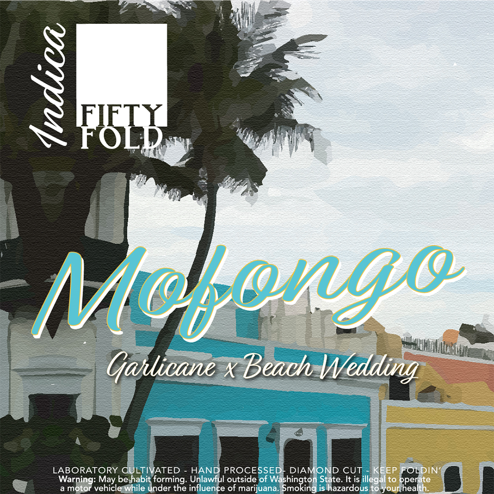 Mofongo Mofongo