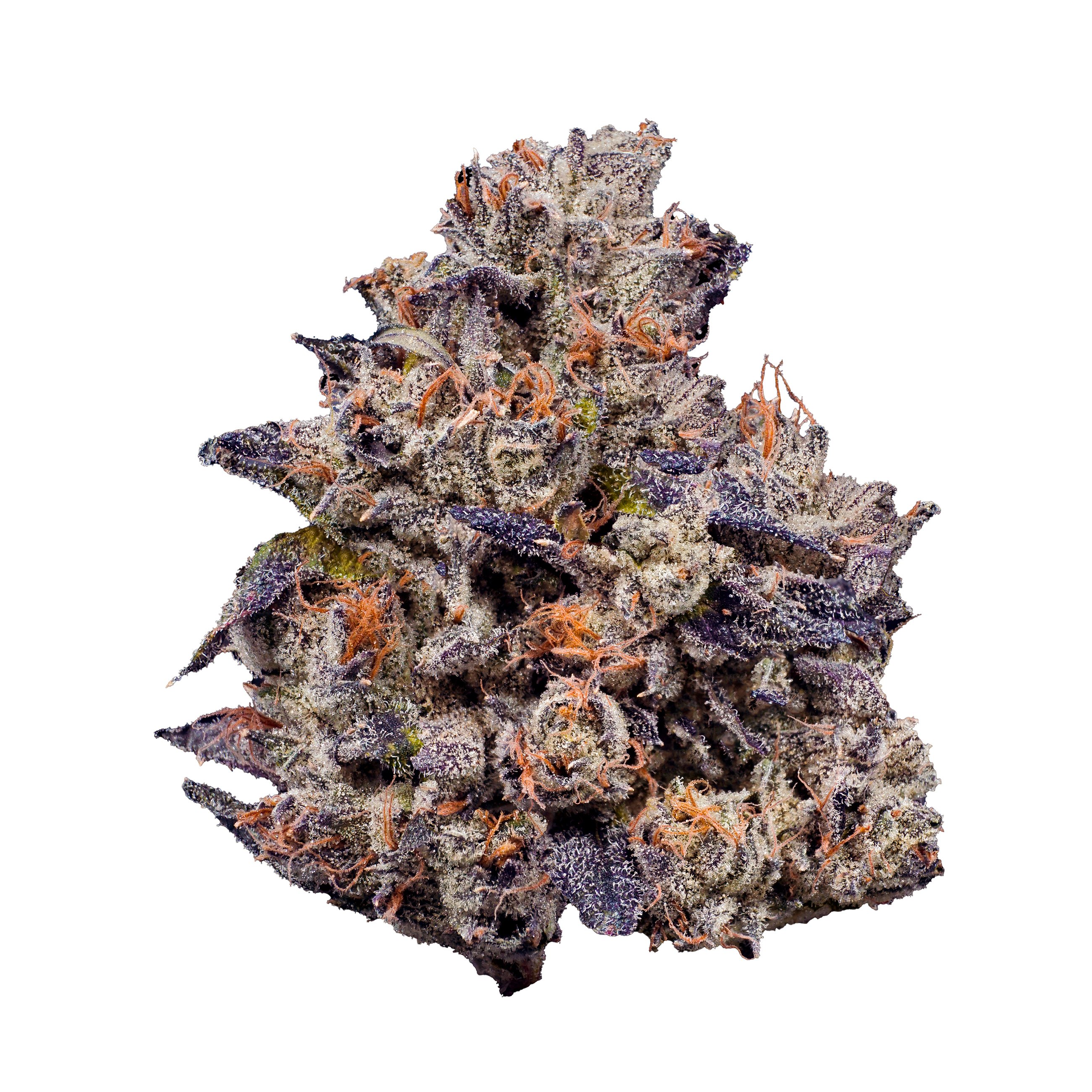 Lemon Cherry Gelato Lemon Cherry Gelato