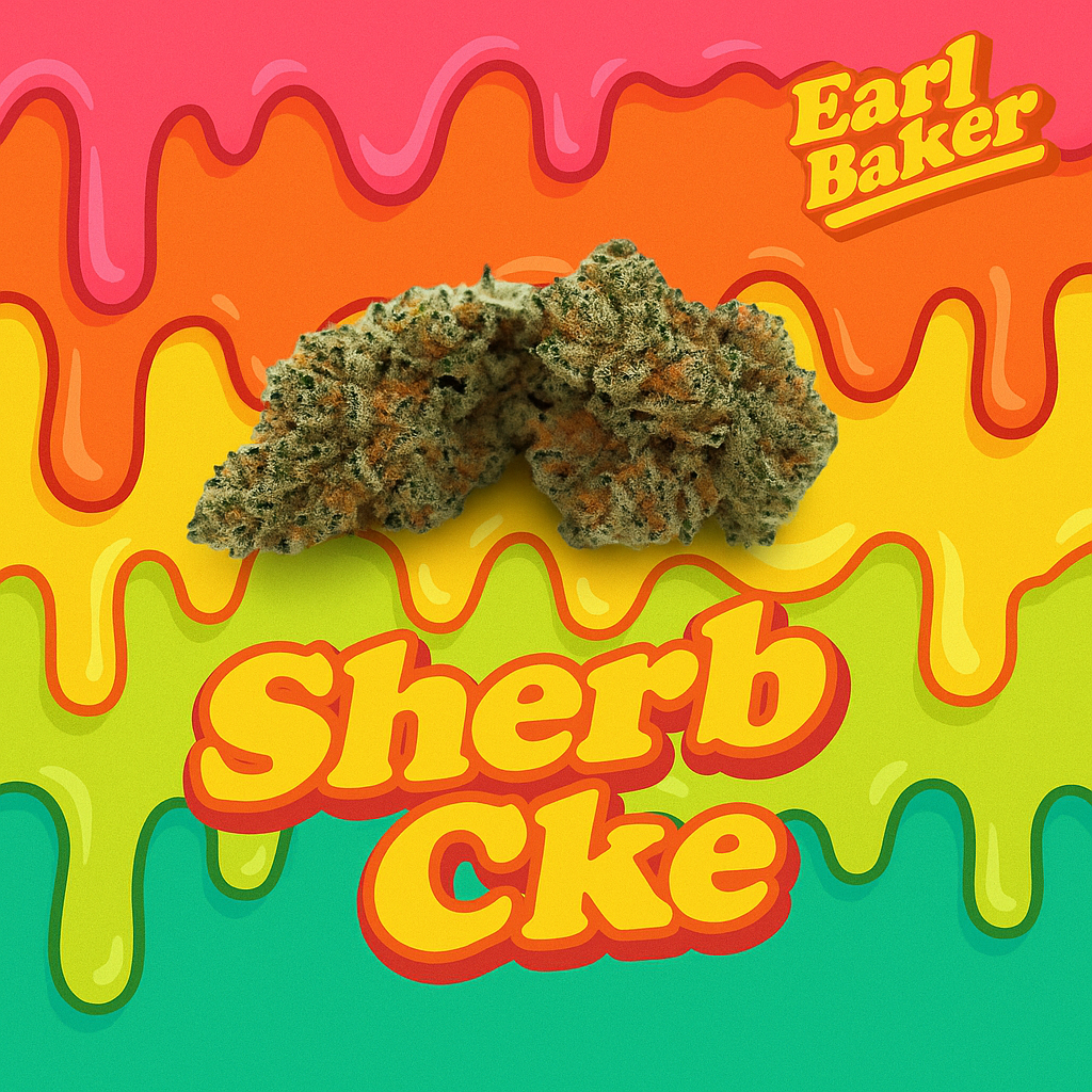 Earl Baker - Sherb C.ke (H) Flower  C0110000070