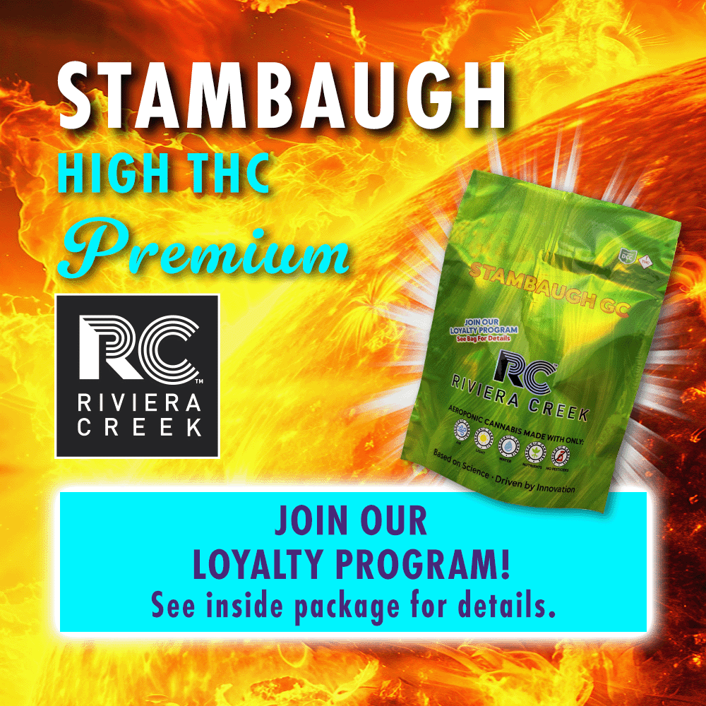 15cb2dcb-c71c-4dd9-b16f-