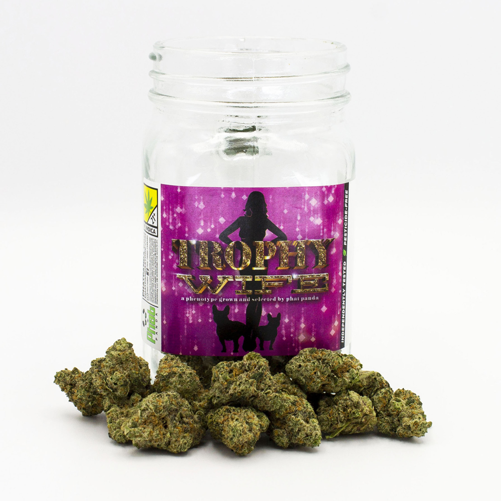 Trophy Wife - Platinum Line