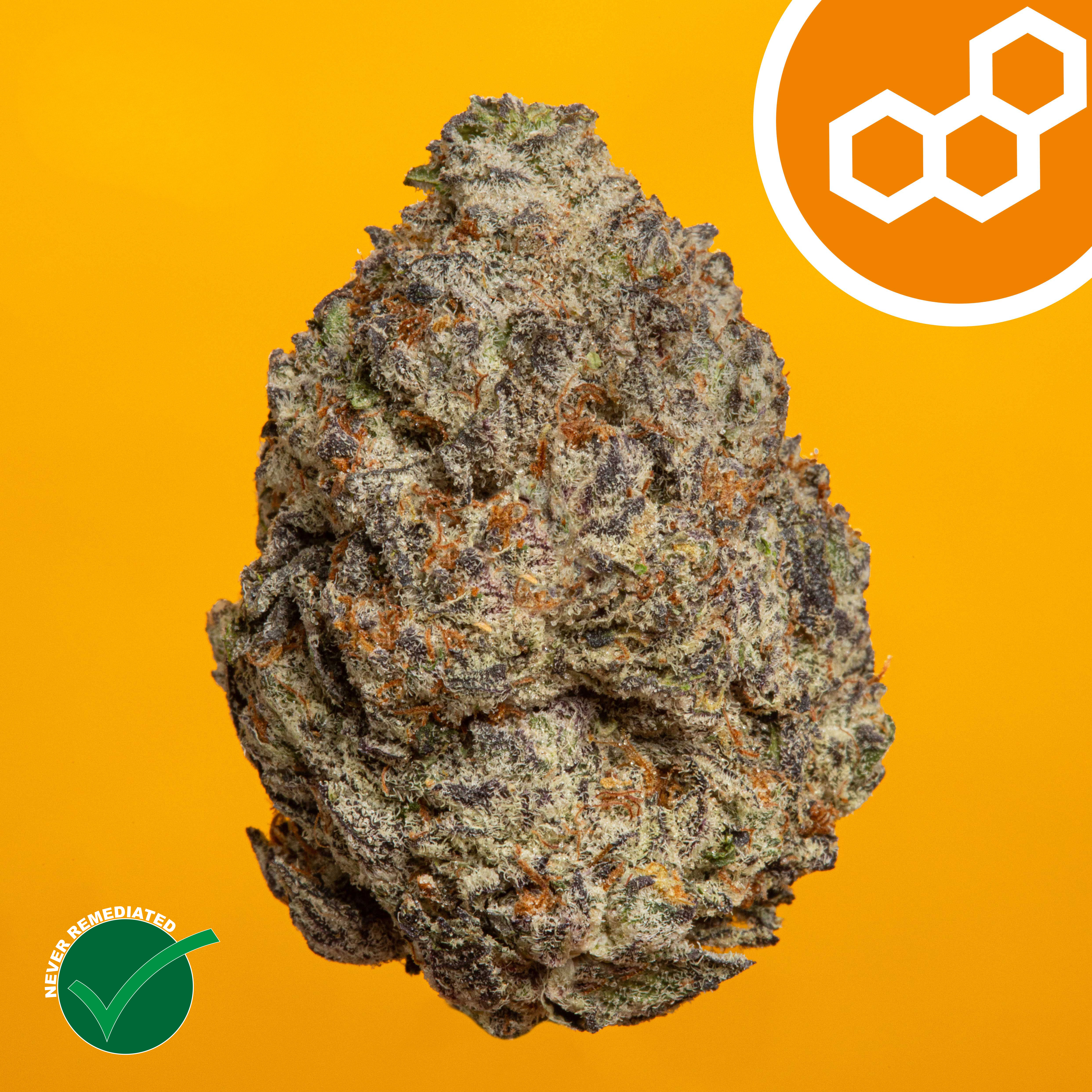 Theraplant - Strawberry Cndy (S) Flower  C0040001963