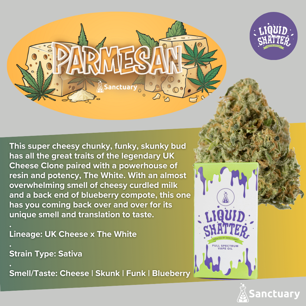 Liquid Shatter - Parmesan