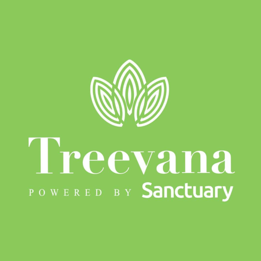 Treevana Remedy - Coconut Dark Chocolate Delights (100mg) 10pk
