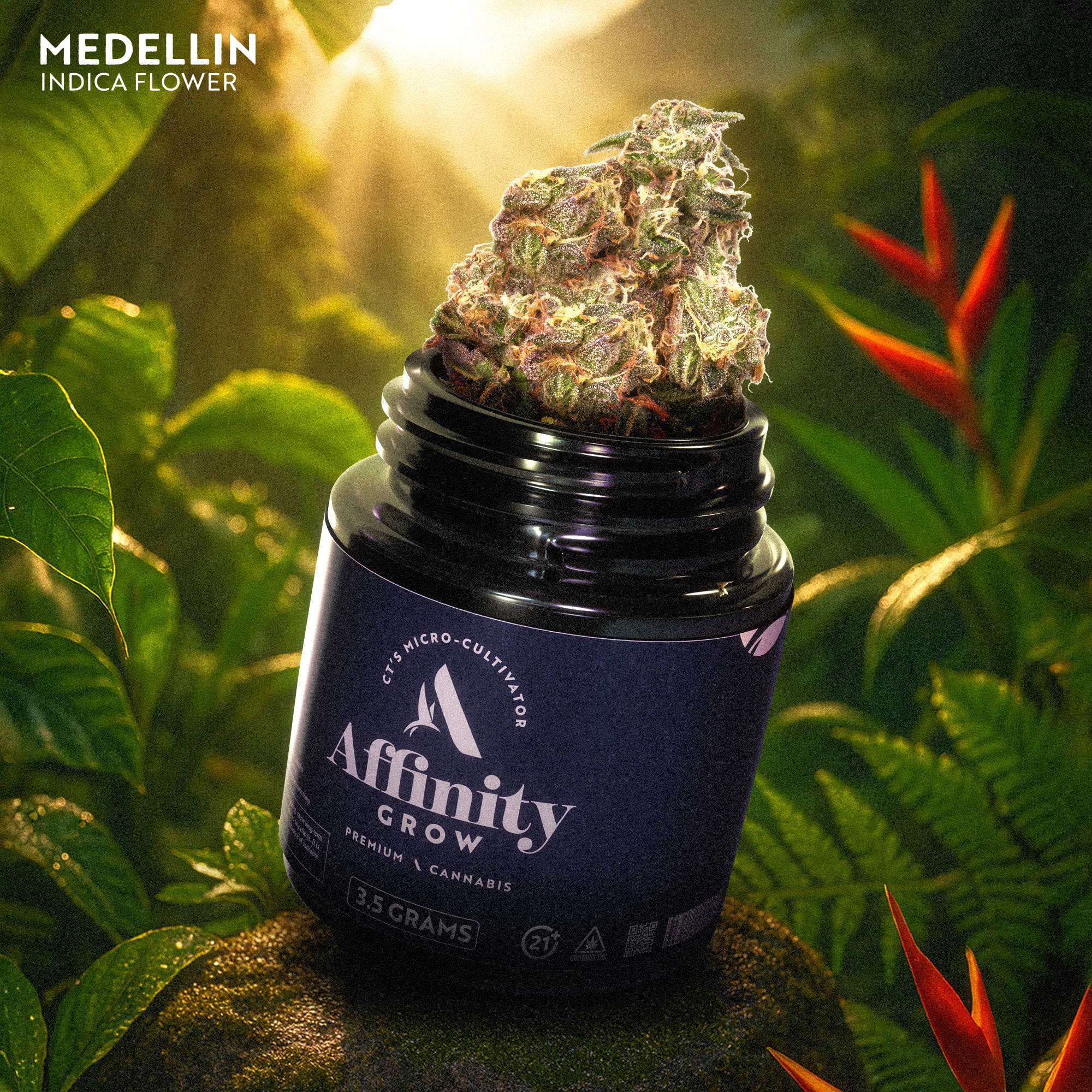 Medellin Flower T29.66% I 00823 (3.5g)