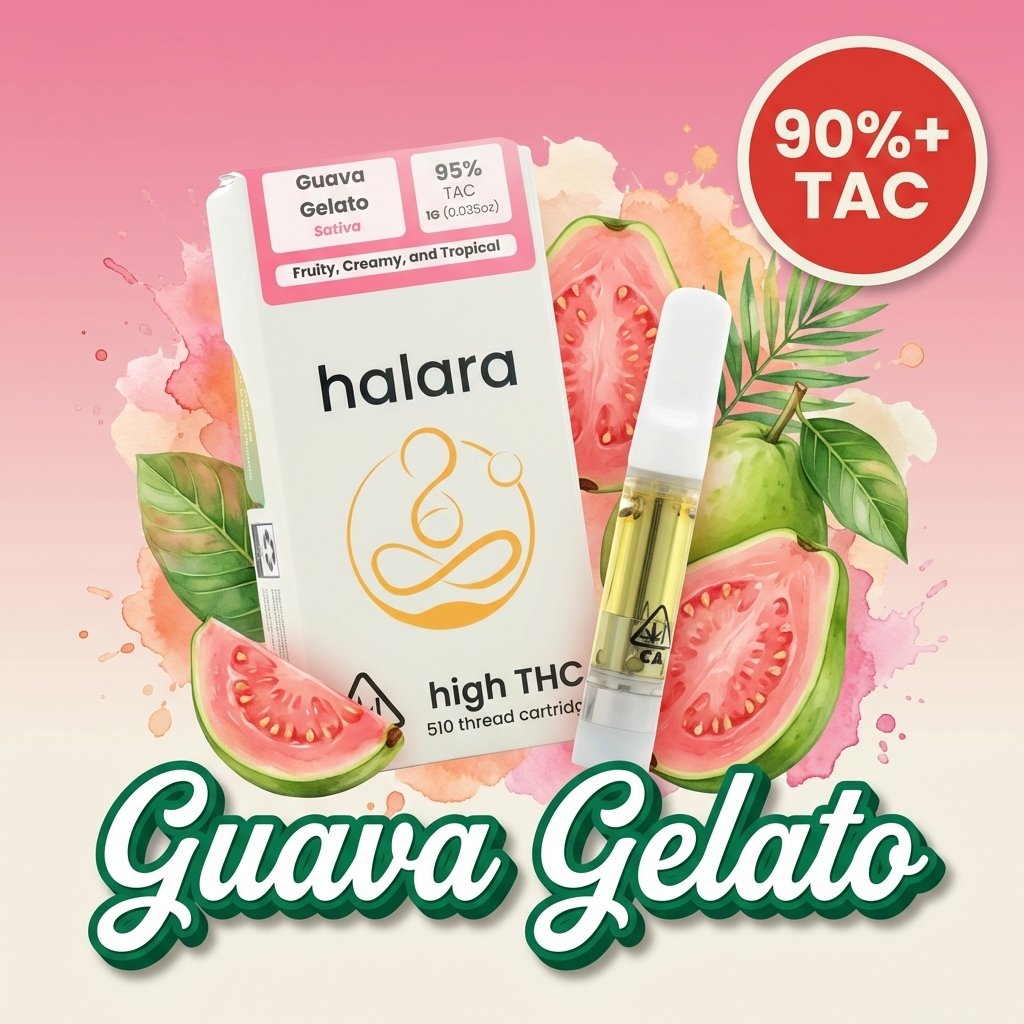 Guava Gelato