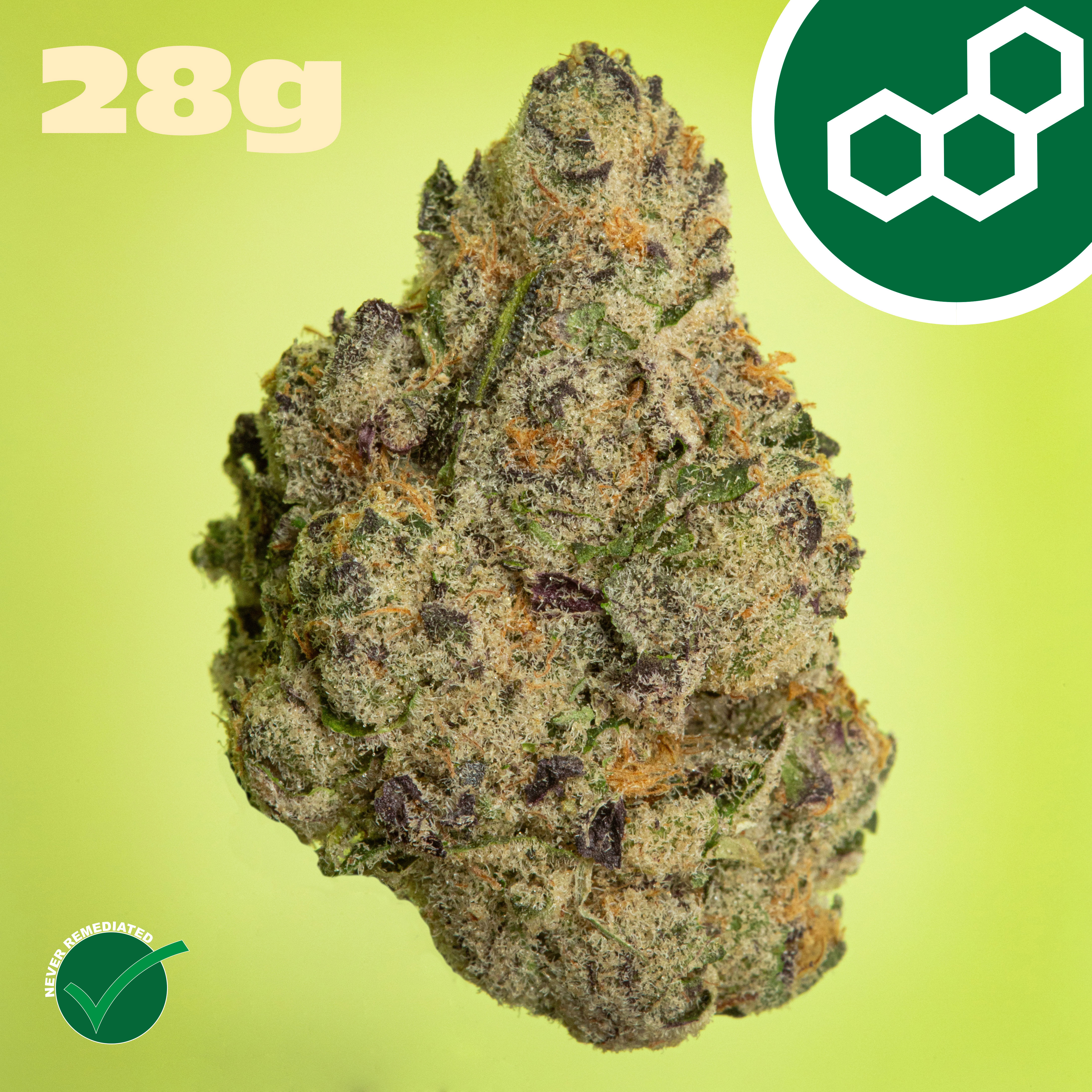 Theraplant - Pink Certz (H) Flower C0040001803 Theraplant - Pink Certz (H) Flower C0040001803