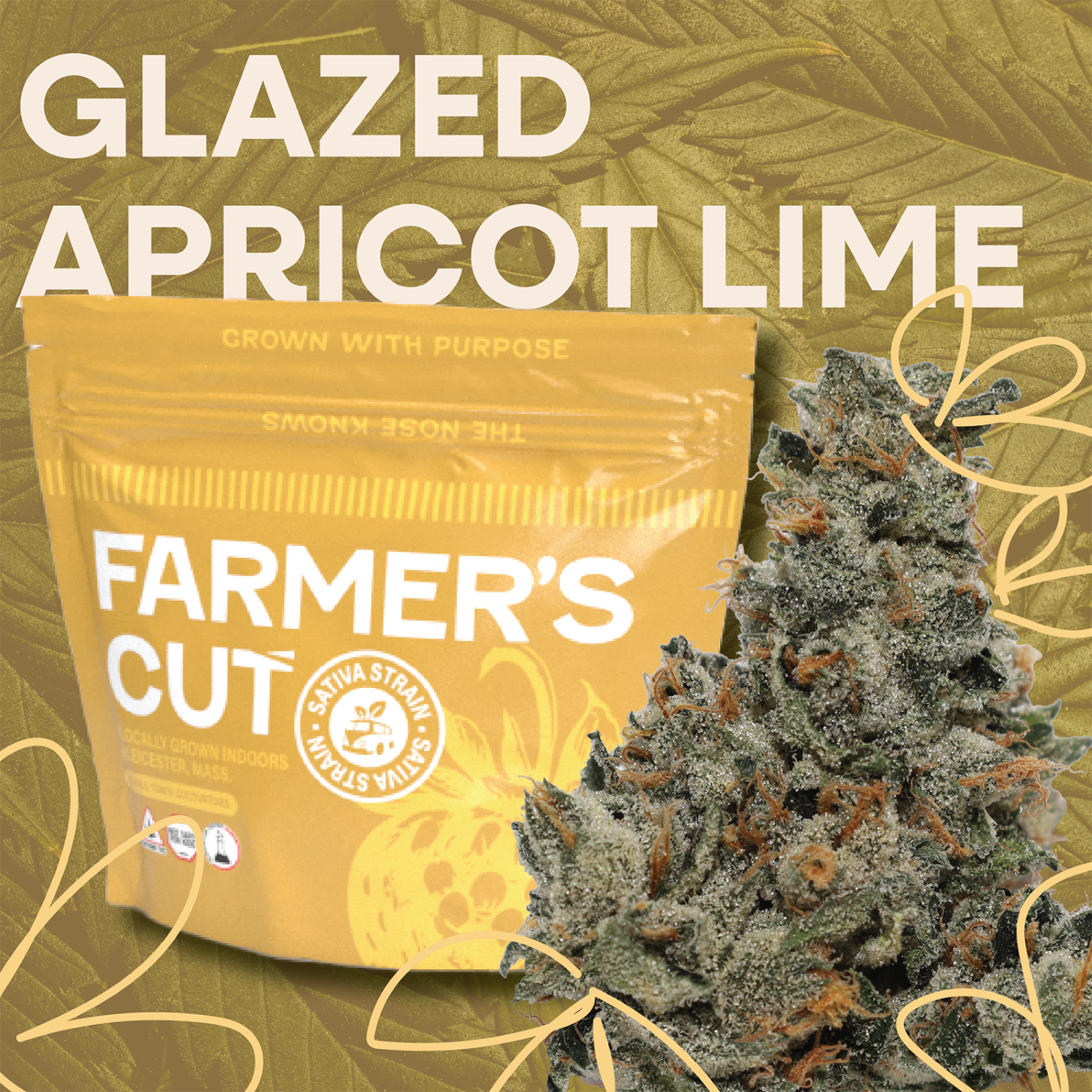 Glazed Apricot Lime