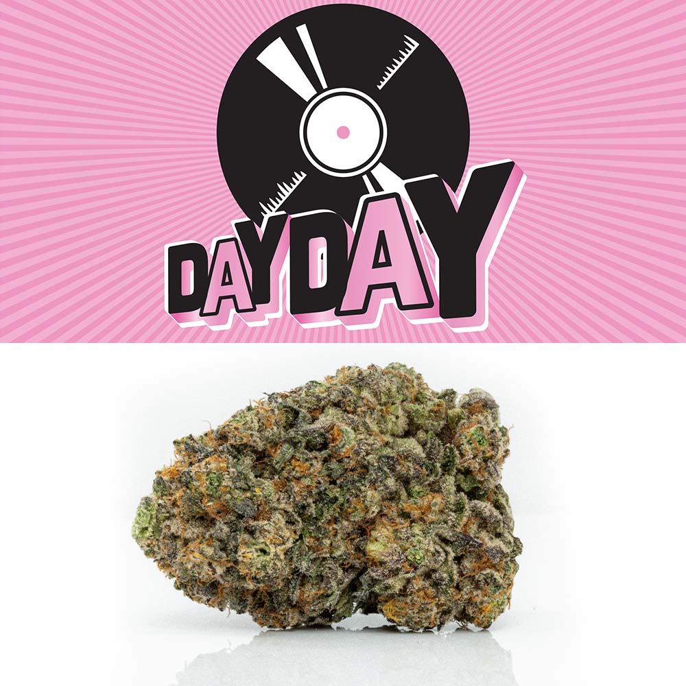 Day Day Day Day