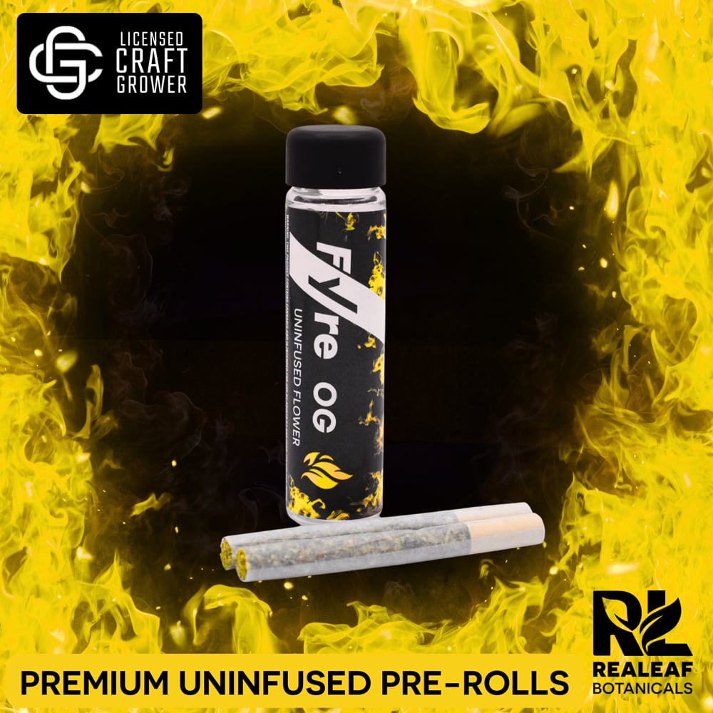 OG Mini Uninfused Jungle Sunset Pre-Rolls 2 - Pack 1.0g