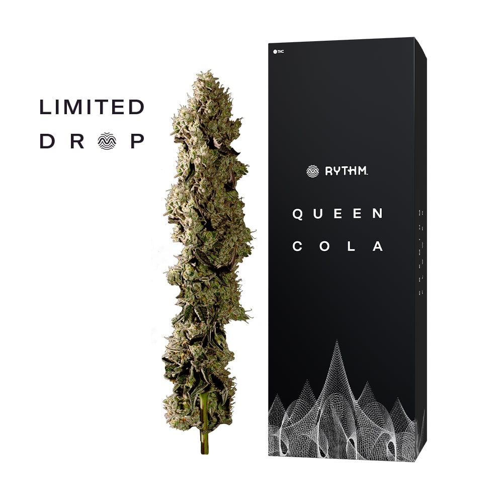 L’Orange | RYTHM | Queen Cola - Jane