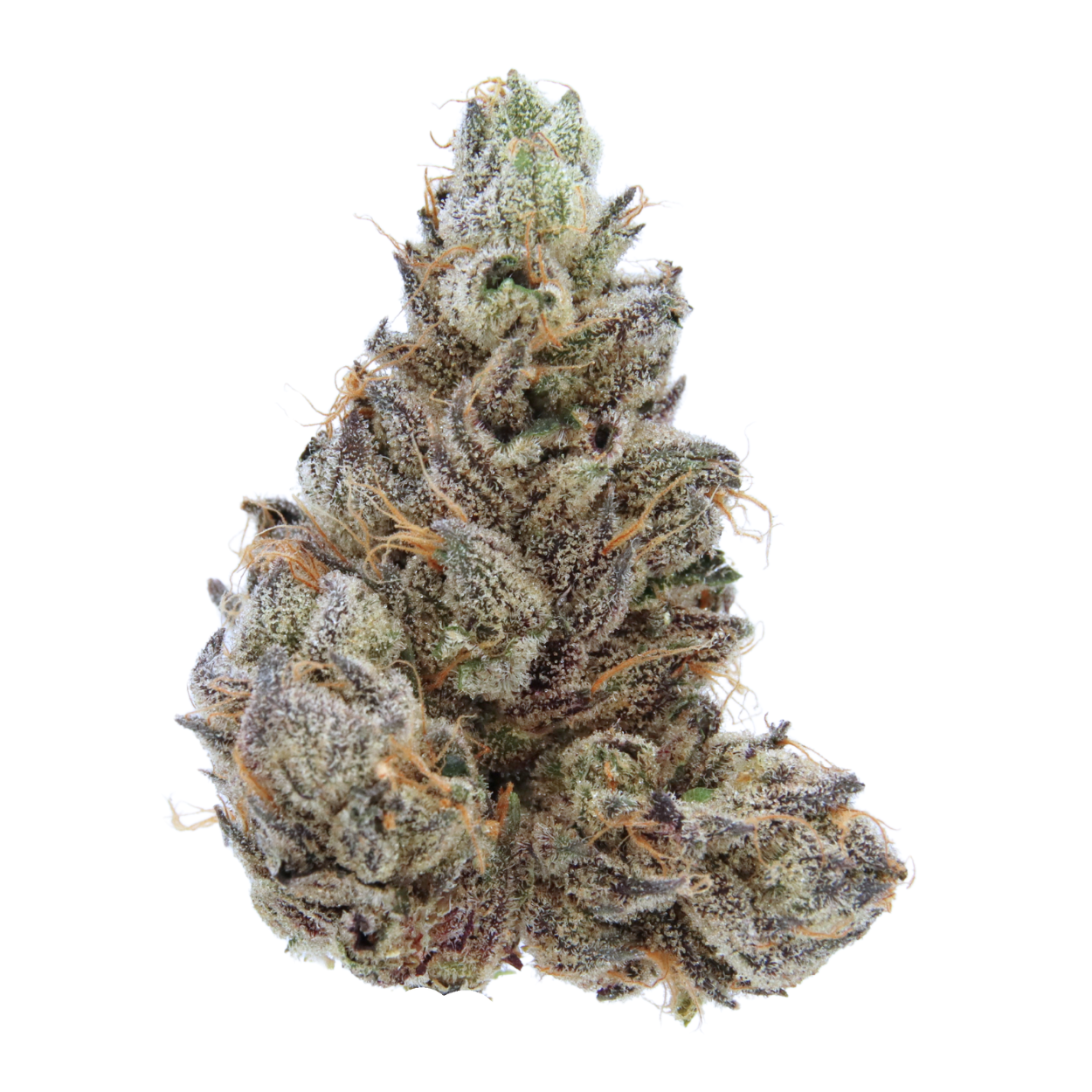 Shop Blue Zashimi | Velvet Cannabis - Eagle Rock Dispensary Los