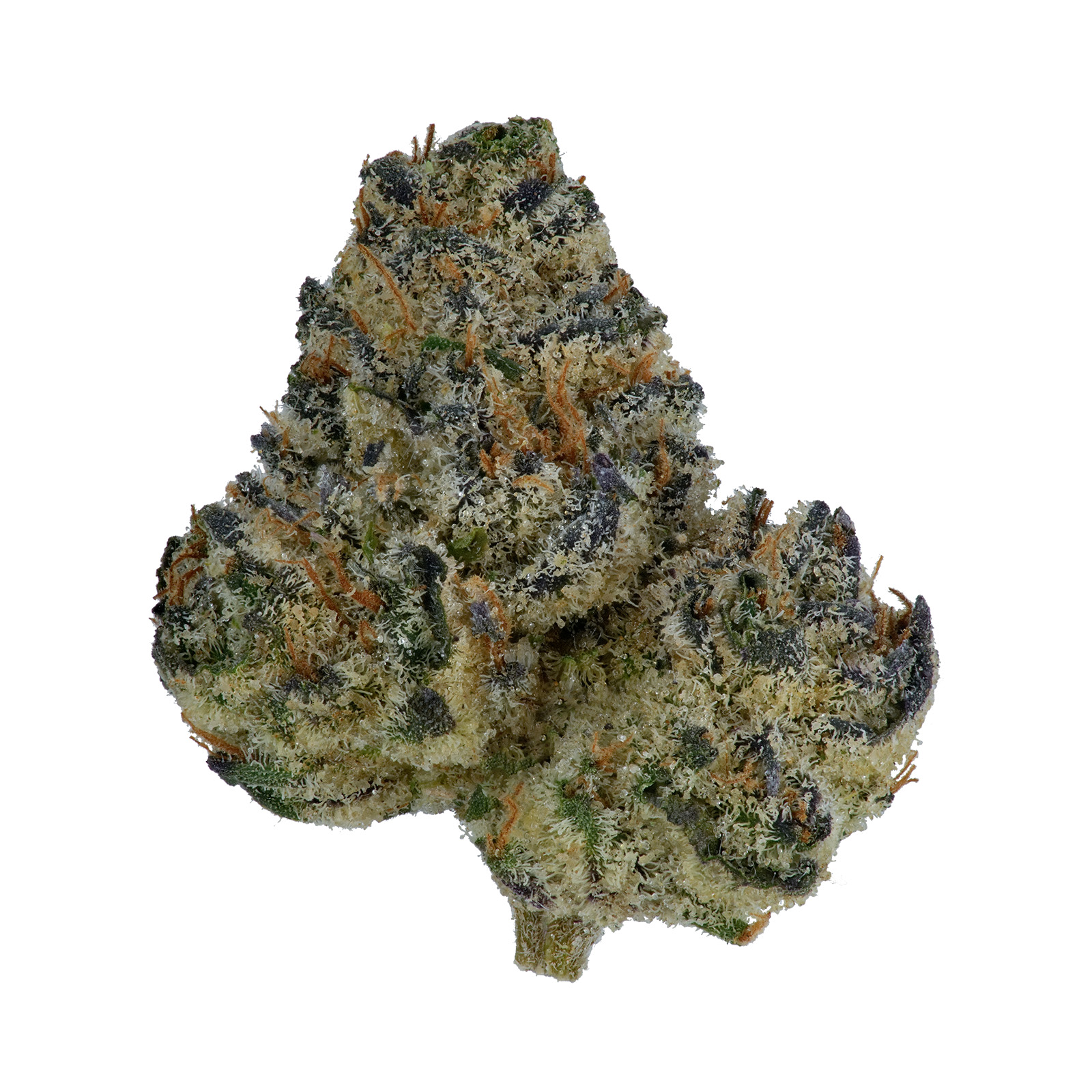 Shop Midnight | FLUENT - Mary Esther Dispensary Mary Esther, FL