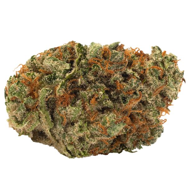 Slow Lane Indica