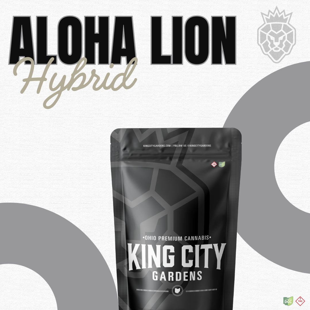 KING CITY GARDENS - ALOHA LION - SMALLS - [14.15G] - HYBRID
