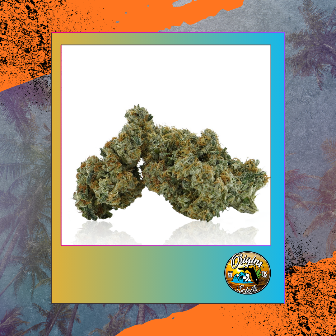 Shop Origins Southern Storm | FLUENT - Lakeland Dispensary
