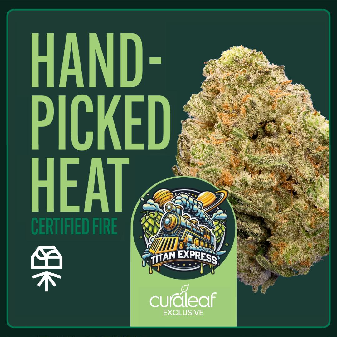 Tillandsia Methaporn Delight 速達発送 Tillandsia Methaporn Delight 速達発送 Tillandsia Methaporn Delight