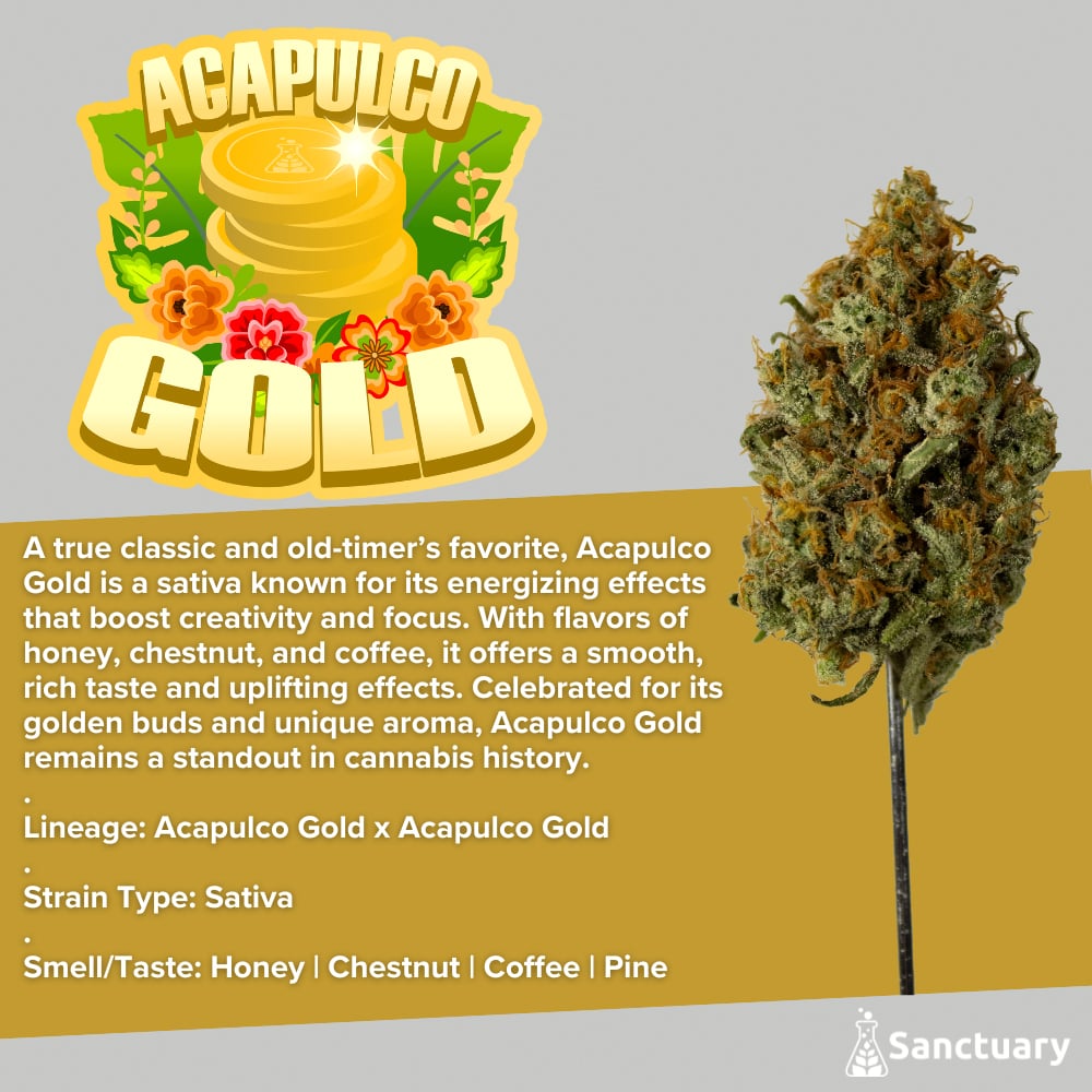 Whole Buds - Acapulco Gold