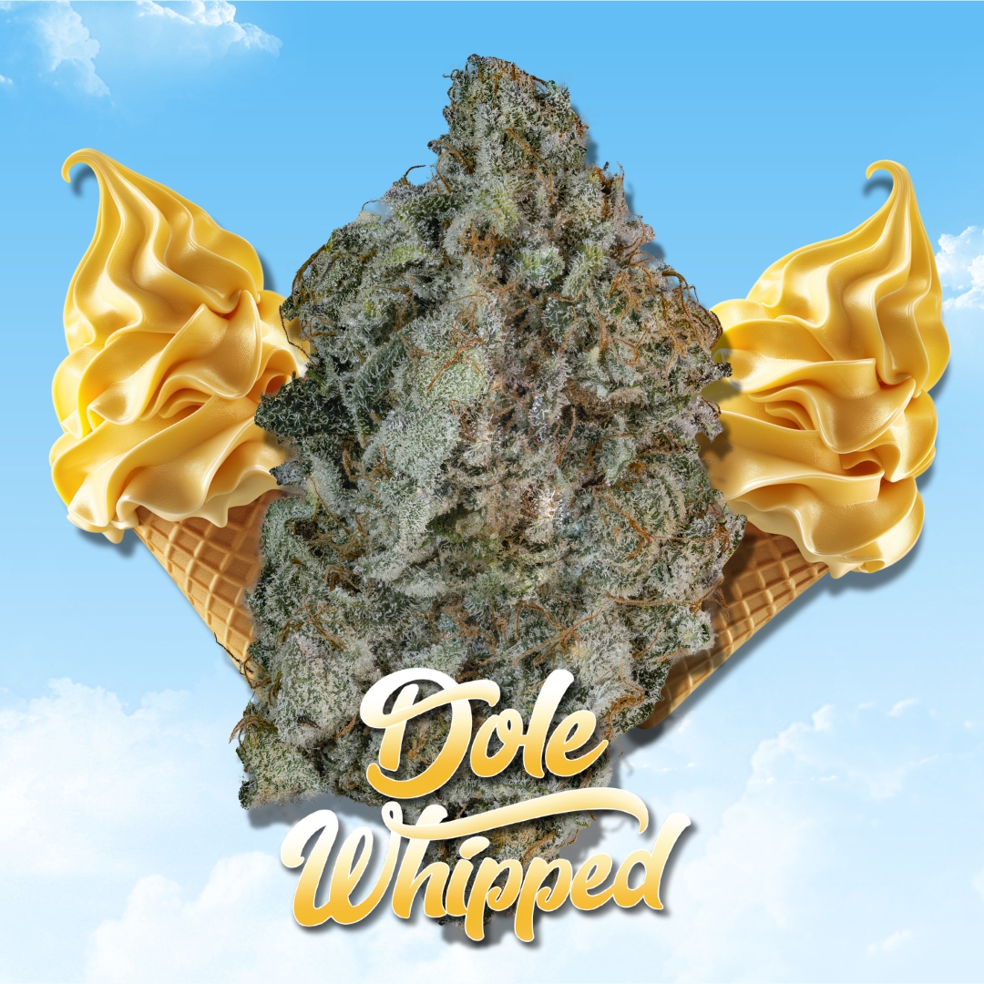Pineapple Soft Served #1