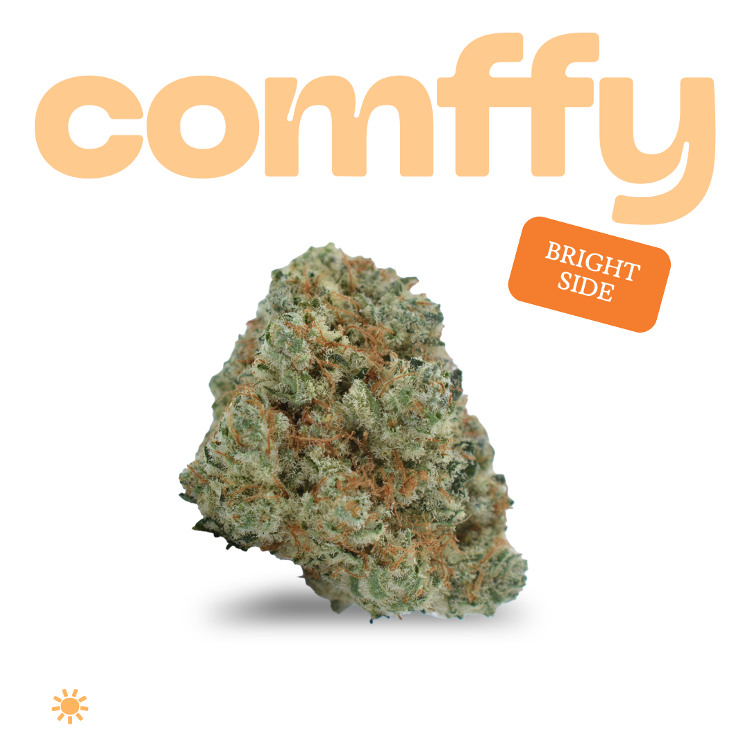 comffy - Bright Side (S) Flower  C0140000276